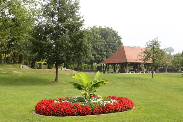 mały park w hagnau nad jeziorem bodeńskim - hagnau zdjęcia i obrazy z banku zdjęć