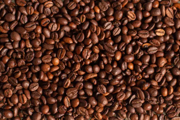 Fresh coffee grains wallpaper. Background of the roasted coffee beans. Good morning. Coffee shop.