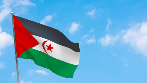 istock Sahrawi Arab Democratic Republic flag on pole 1296823995