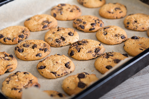 Freshly baked homemade cookies with chocolade chips on baking tray