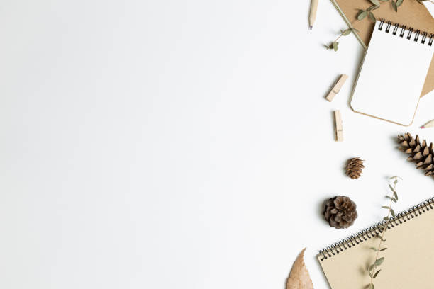 istock Work and study place. Notebook and dry plant on white background. flat lay, top view, copy space 1296826110