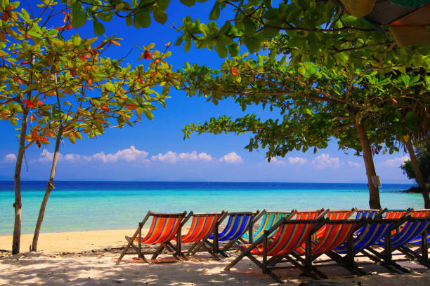 istock View on isolated colorful empty deck chairs in a row on tropical beach, Thailand, Ko Phi Phi - tourism industry perspective concept 1296831774