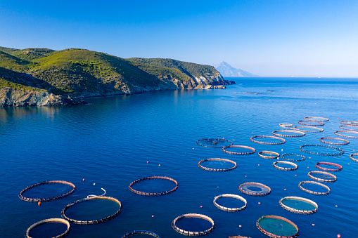 Dorado fishing farm in Greece aerial photography. Aquaculture production.