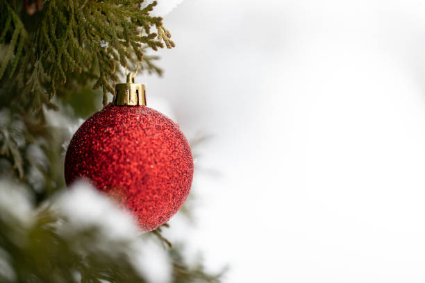 istock Christmas White Background stock photo 1296833073