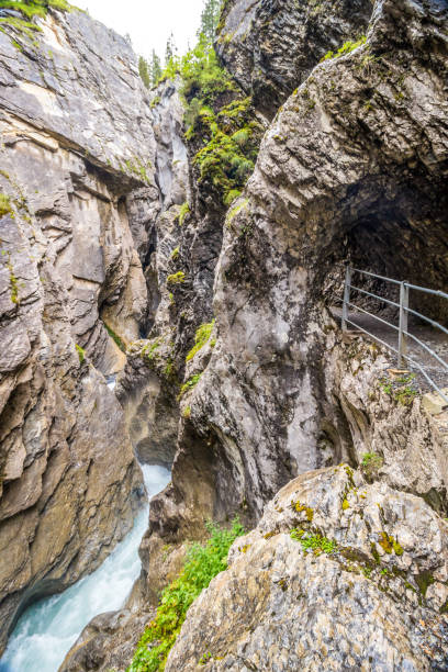 istock Gorge in the Swiss Alps 1296834464