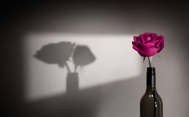 istock Lonely and Sadness Feeling Concept. Single Pink Rose Flower Shading Shadow on the Wall as Couple. Symbol of  Love and Valentines Day 1296837650