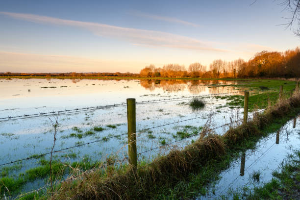 istock Sunrise reflected in a flooded field 1296837972