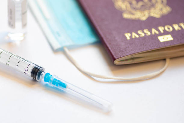 istock Syringe, vial, surgical face mask and passport 1296839057