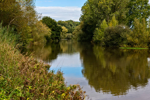 the river medway bei yalding, maidstone in kent, england - yalding stock-fotos und bilder