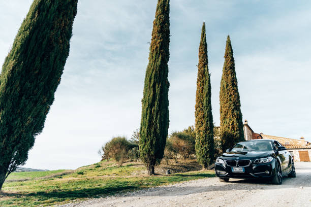 Bmw 2 series coupe parked on the countryside road in Pienza Pienza, Italy - March 12, 2017 : Brand new black coupe BMW 220d is parked at the roadside the Siena countryside along a cypress hill road. saloon car stock pictures, royalty-free photos & images