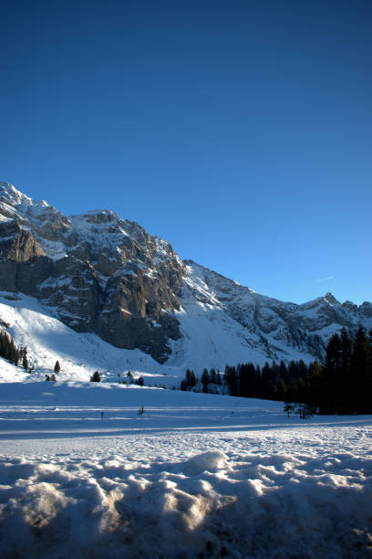 istock Incredible Alpstein mountains in Switzerland 18.12.2020 1296846617