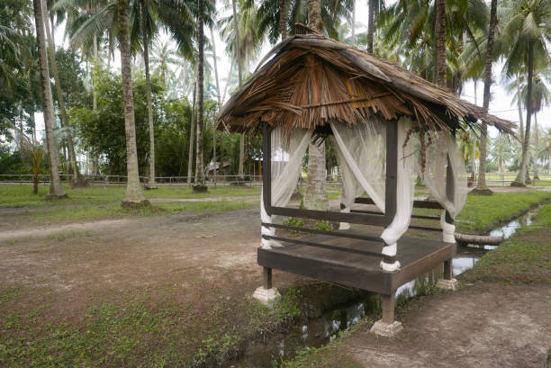 istock Selective focus of a hut in a coconut farm. 1296846818
