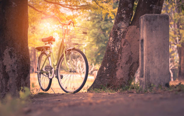 istock A bicycle parking on the yellow nature landscape 1296849901