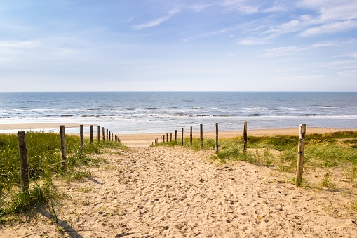 The coastline of the Netherlands is protected by dikes and sandy dunes. This image shows a sandy path crossing a sand dune or natural levee leading down to the ocean on a sunny autumn day. The image shows the beauty and rough calmnes of the landscape besides the summer bathing season at Zandvoort.