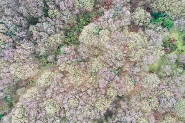 istock Open Coal Mine in sight of the Wrekin 1296854335