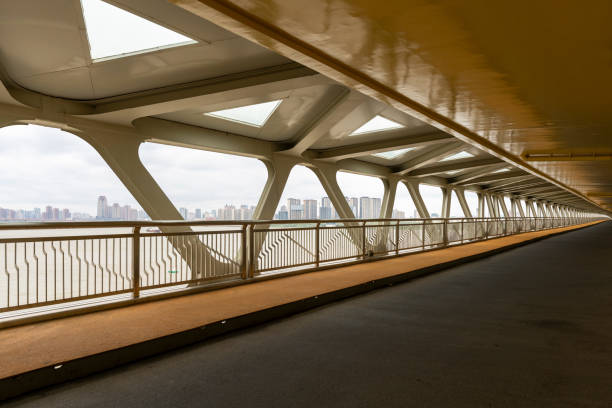 istock Bridge, pedestrians and non-motorized vehicle lanes 1296854412