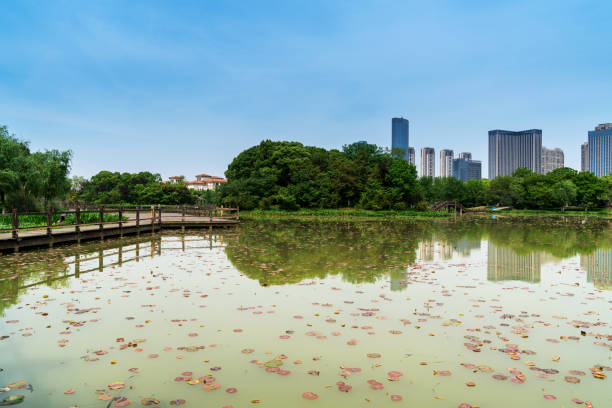 istock Lakeside modern office building in China 1296854722