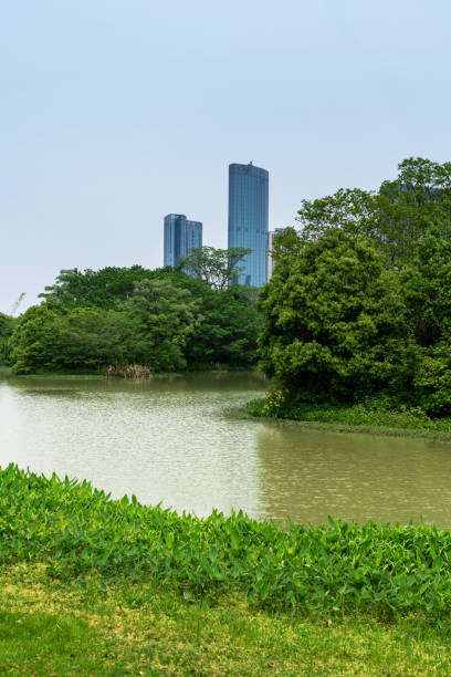 istock Lakeside modern office building in China 1296855920