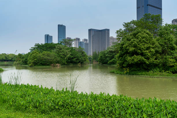 istock Lakeside modern office building in China 1296856080