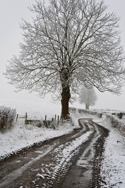 istock Rural landscape in winter 1296857642