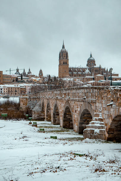 istock Salamanca covered by snow 1296862127