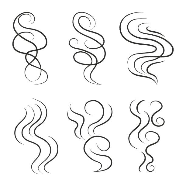 ilustrações de stock, clip art, desenhos animados e ícones de set of linear smoke steam and smell. smoking and steaming sign. vapor, aroma flow, gas, smog icon. - smoke smoking abstract wave pattern