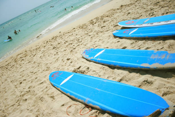 istock Closeup image of surfboards lying on the sand 1296864387