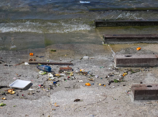 istock Waste at the harbour area on concrete path to water. 1296864973