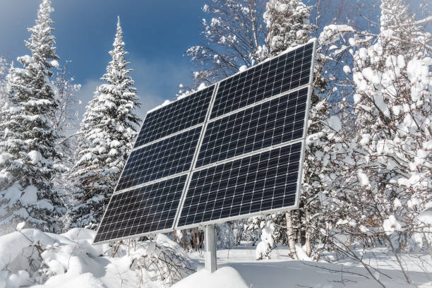 Solar panel with snowy forest on clear winter day stock photo