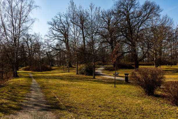 istock Narrow paths in colorful small park with trees and bushes without leafs at winter 1296867494