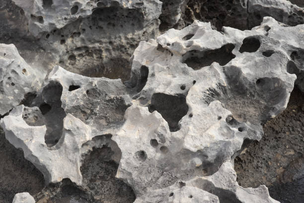 istock Rock texture of grey limestone with little holes. 1296867497