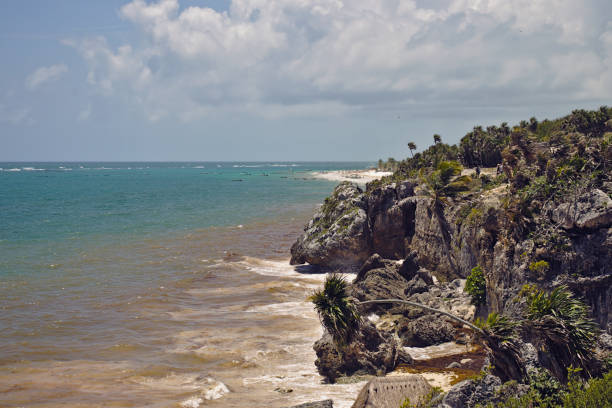 istock Tulum coastline with turquoise water, palm trees and cliffs. 1296867603