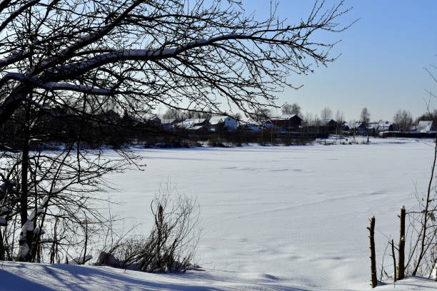 istock tree branches by a frozen, snow-covered pond 1296868204