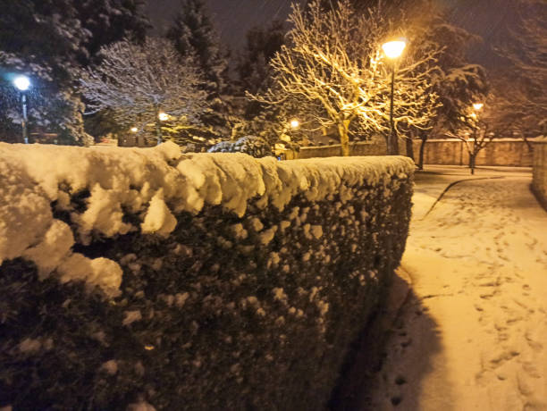 istock Great snowfall in Espinosa de los Monteros, Spain 1296868303