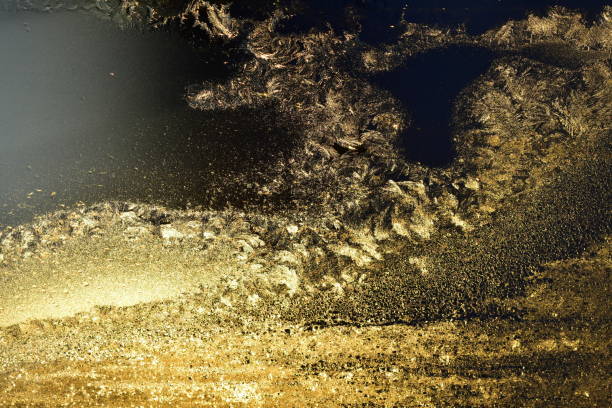 istock ice patterns on glass in the sun 1296868422