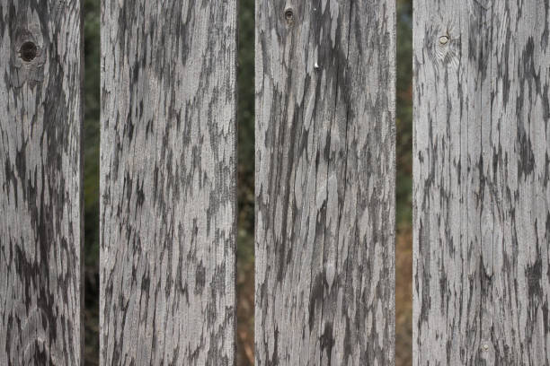 istock Beautiful wooden grey old background for design, banner and layout. 1296869201