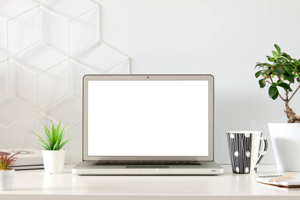 istock School desk. Copy space. Plants at home. Open laptop. Template. Mockup. 1296869952