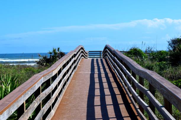 istock Walkway to the ocean beach 1296871071