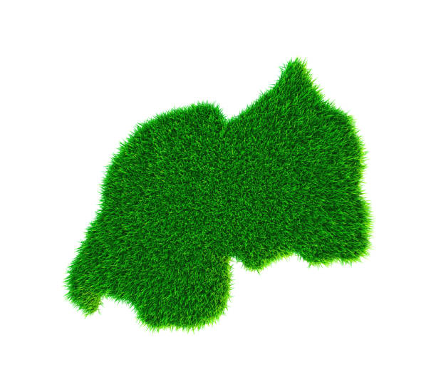 istock Grass map of Rwanda, isolated on white 1296872548