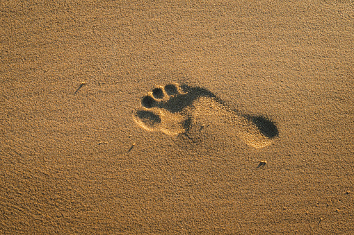 One footprint of human feet on the sand on the beach at sunset, texture abstract background