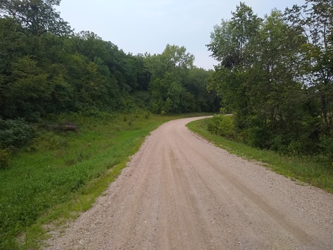Scenic view of a gravel road line with green trees