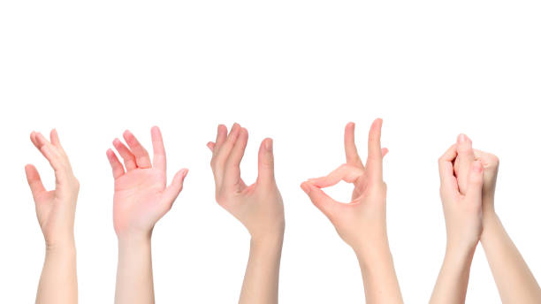 istock Woman hand isolated on white. Heart symbol. 1296878169