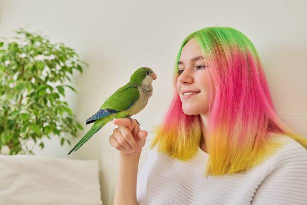 Trendy teen girl with green parrot on his hand Trendy fashionable with brightly colored hairstyle teenager with green parrot on his hand, friendship of girl and bird, lifestyle of teen and pet monk parakeet stock pictures, royalty-free photos & images