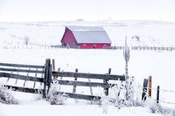istock Red barn in winter with fence and snow 1296880346