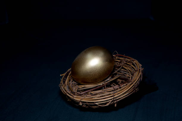 istock Gold egg in nest in low key black background 1296880456