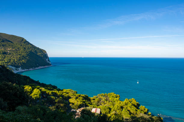 istock Panoramic view of the Conero coast, Italy 1296881978