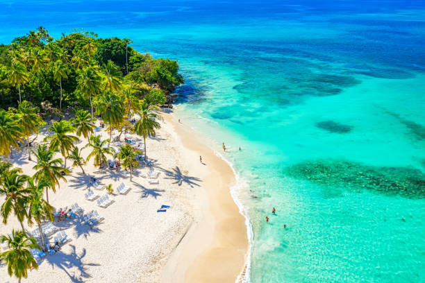 vista aérea de drones de la hermosa pequeña isla y palmeras del océano atlántico. cayo levantado island, samana, república dominicana - república dominicana fotografías e imágenes de stock