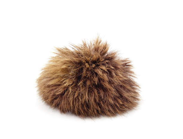 A ball of fur.