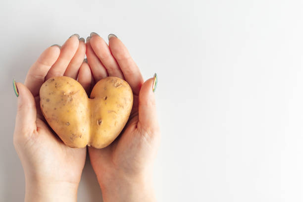 istock Heart shaped potatoes in hands on a white background. Valentine's day concept. 1296892624