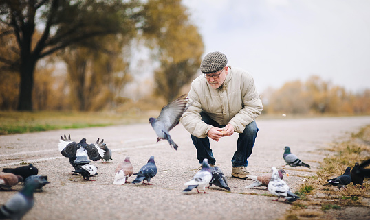 Man feeding pigeons in the old town